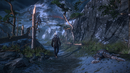 _bmuploads_2013-10-28_6255_the_witcher_3_wild_hunt_forest_path